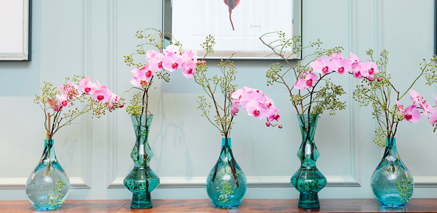 Orchid Display at The Levin Hotel Knightsbridge London