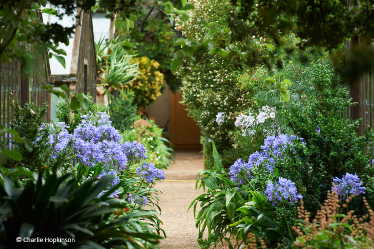 chels-physic-garden