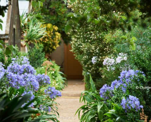 physic-garden-header