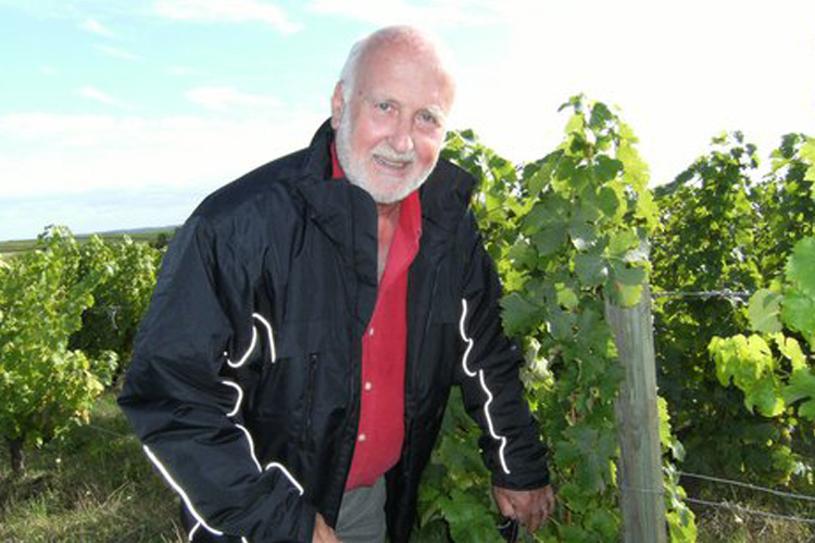 mr-levin