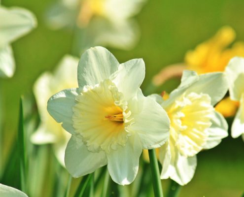 Easter in London at The Levin